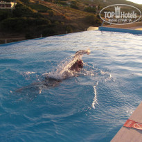 фото из отзыва ID 224502