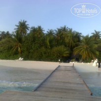 фото из отзыва ID 224273