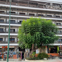 фото из отзыва ID 2240051