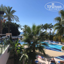 фото из отзыва ID 2240033