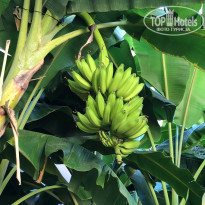 фото из отзыва ID 2240033