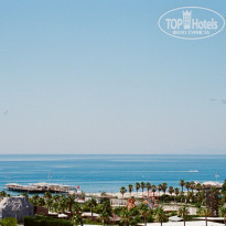 фото из отзыва ID 2240038