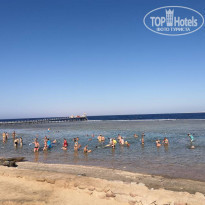 фото из отзыва ID 2240228