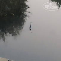 фото из отзыва ID 2240162