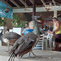 фото из отзыва ID 2240391