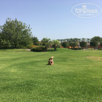 фото из отзыва ID 2240437