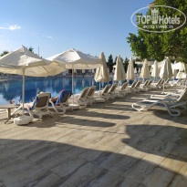 фото из отзыва ID 2240414