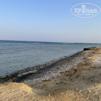 фото из отзыва ID 2240534