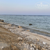 фото из отзыва ID 2240534