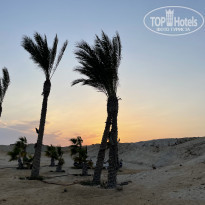 фото из отзыва ID 2240534