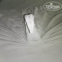 фото из отзыва ID 2240885