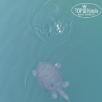 фото из отзыва ID 2240885