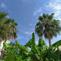 фото из отзыва ID 2240900