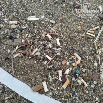 фото из отзыва ID 2240990