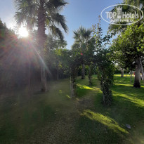 фото из отзыва ID 2241088