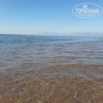 фото из отзыва ID 2241088