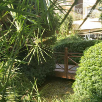 фото из отзыва ID 2241211