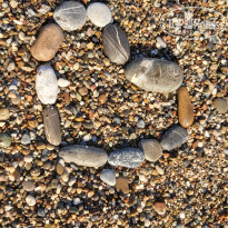 фото из отзыва ID 2241211