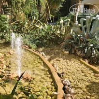 фото из отзыва ID 2241211