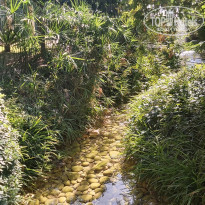 фото из отзыва ID 2241211