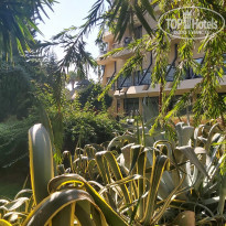 фото из отзыва ID 2241211