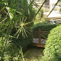 фото из отзыва ID 2241211