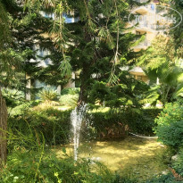 фото из отзыва ID 2241211