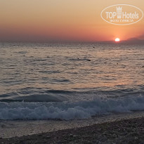 фото из отзыва ID 2241211