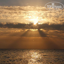 фото из отзыва ID 2241211