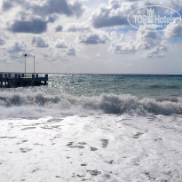 фото из отзыва ID 2241211