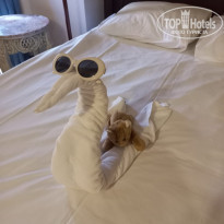 фото из отзыва ID 2241266