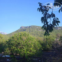 фото из отзыва ID 2241150