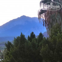 фото из отзыва ID 2241452