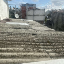 фото из отзыва ID 2241532