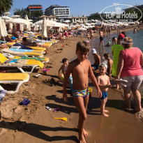 фото из отзыва ID 2241529