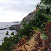 фото из отзыва ID 2241566