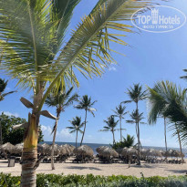 фото из отзыва ID 2241668