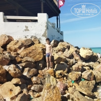 фото из отзыва ID 2241733