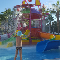 фото из отзыва ID 2241717