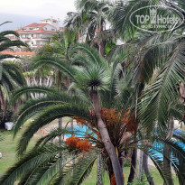 фото из отзыва ID 2241757