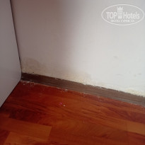 фото из отзыва ID 2241905