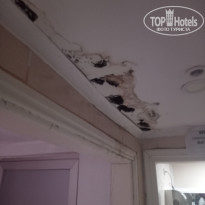 фото из отзыва ID 2241905