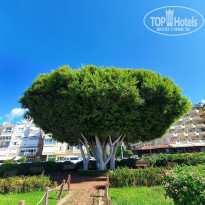 фото из отзыва ID 2241902