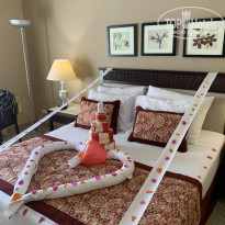 фото из отзыва ID 2241934