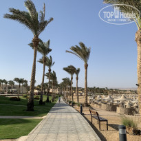 фото из отзыва ID 2241934