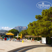 фото из отзыва ID 2242003