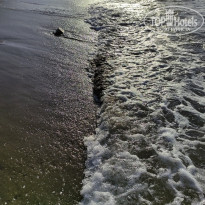 фото из отзыва ID 2242091