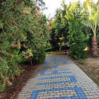 фото из отзыва ID 2242091