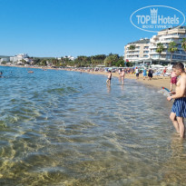 фото из отзыва ID 2242228