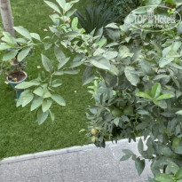 фото из отзыва ID 2242243